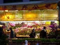 花屋街の軒下