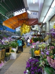 ある花屋